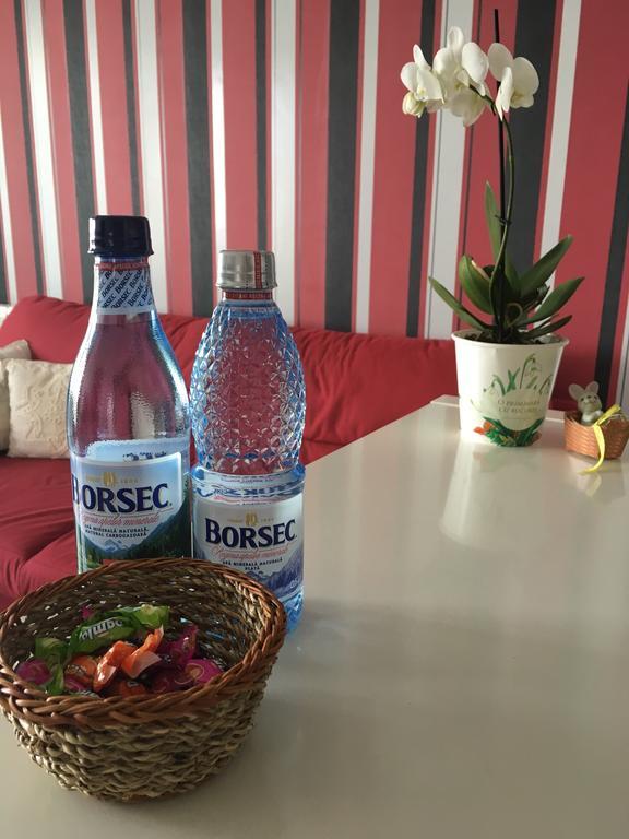 Dora City Apartament Apartment Cluj-Napoca Ngoại thất bức ảnh